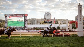Longines Gran Premio Latinoamericano - Longines