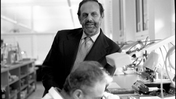 Luigi Macaluso dilue son autorité - Sowind Group