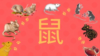 Your Kind of New Year Watch - Chinese New Year