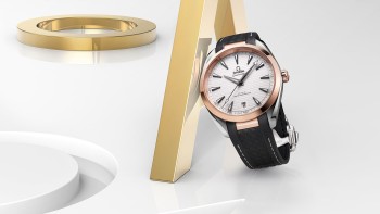 Seamaster Aqua Terra Master Chronometer Collection - Omega