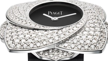 Limelight Blooming Rose - Piaget