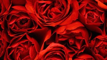 Video. Valentine's Day - Cartier