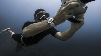 Diver Chronograph Great White  - Ulysse Nardin