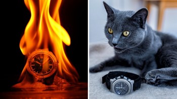 Two Themes for Season 4 - Watch Photo Awards