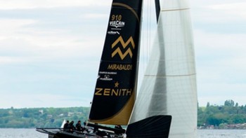 Congratulations to Ladycat - Zenith