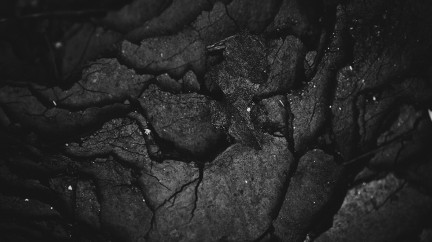 Carbon
