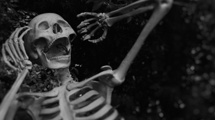 Editorial Halloween 2023