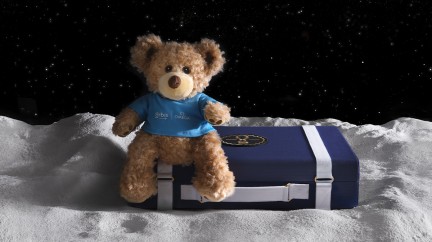 11 MoonSwatch Moonshine Gold Suitcases © Omega x Swatch