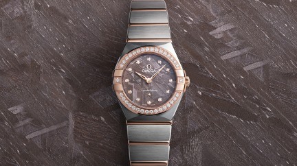 The Constellation Meteorite © Omega
