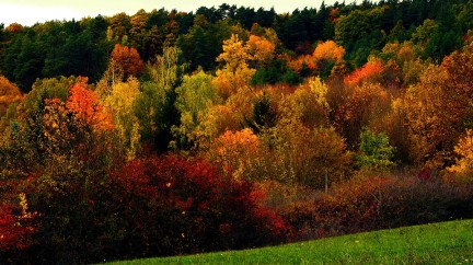 Fall © Pixabay