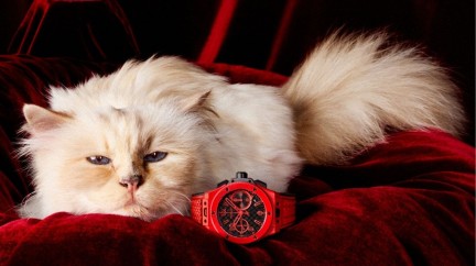 Choupette © Hublot