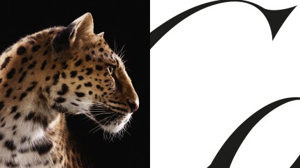 Visuel de la panthère de Cartier © Cartier