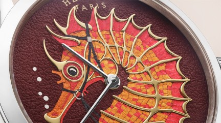 Slim d’Hermès Hippocampe © Davis Marchon