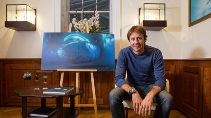 Laurent Ballesta's photograph rewarded in London - Blancpain