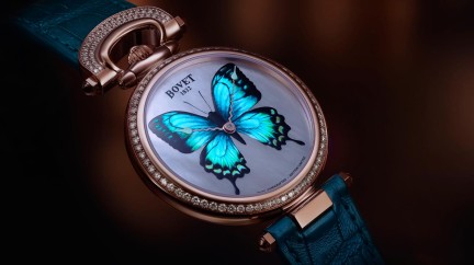 Butterfly - Bovet