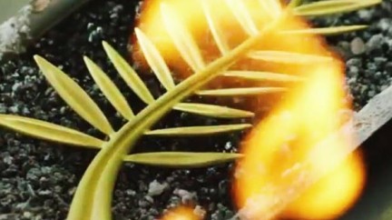 Video. "The Legend Of The Palme d’Or" - Chopard