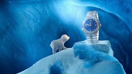 Arty the Bear and the Shooting Star - Chopard