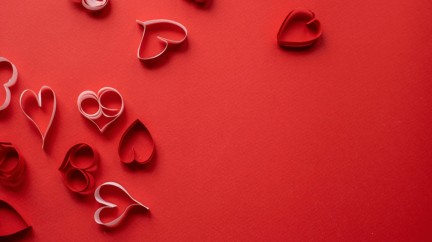 A Declaration of True Love  - Editorial 