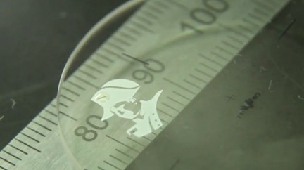 Video. Napoleon watch  - DeWitt 