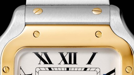 Two-tone, setting the tone - Two-tone watches