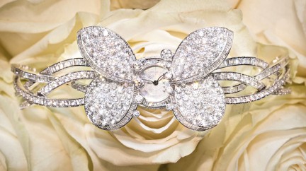 Butterfly grace - Graff