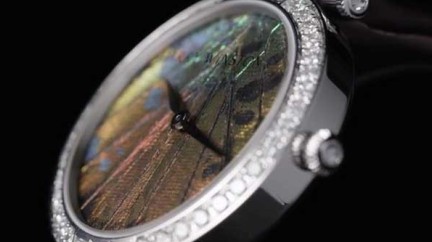 Video. Premier Precious Butterfly Automatic 36mm - Harry Winston