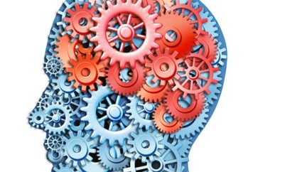Watchmaking and the ventral striatum  - Colas