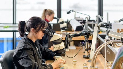 Jaquet Droz joins the Responsible Jewellery Council - Jaquet Droz