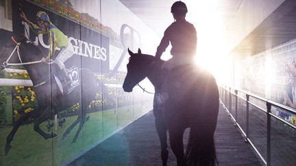 The Longines Queen Elizabeth Stakes Day - Longines