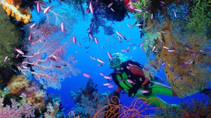 A look at underwater watches - Dive Time