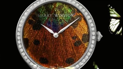 Video. Premier Precious Butterfly Collection  - Harry Winston
