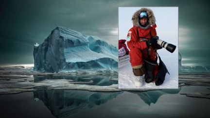 Ambassador Sebastian Copeland - Ulysse Nardin