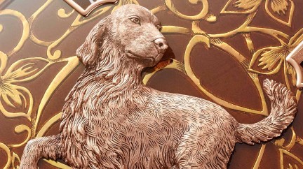 Every dog has its day - Chinese New Year