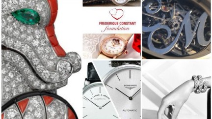 The watch industry’s safe haven - Newsletter