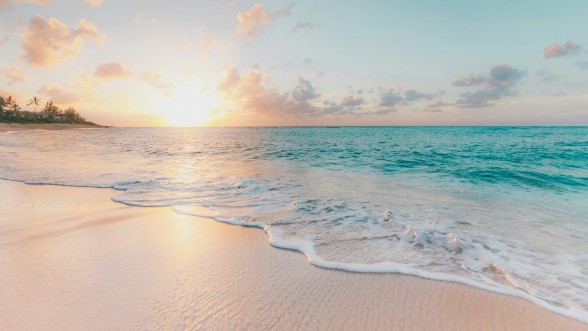 A tropical beach in the sunset © Sean Oulashin