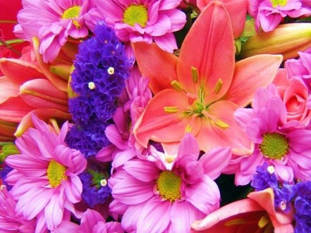 Summer Time Flowers - Floral watches