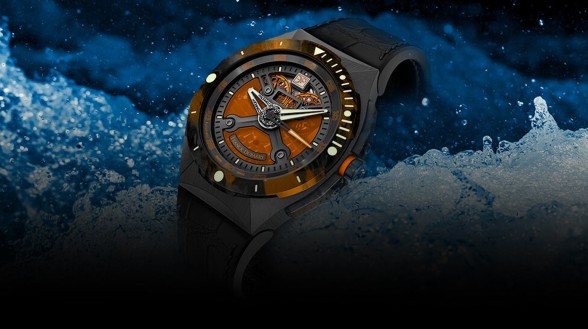 Diver - Franck Dubarry