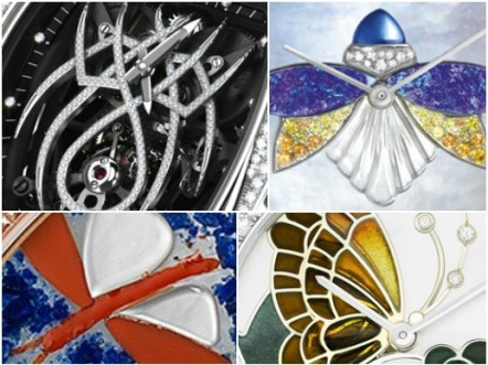 Insects and other strange little creatures - Summer watches