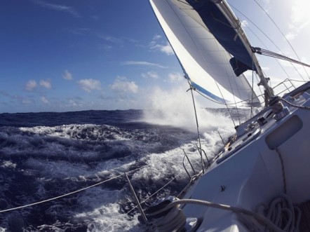 C’est pas l’homme qui prend la mer… - Ocean Cup