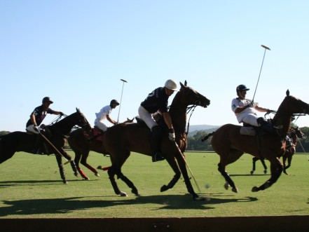 Polo Club de St-Tropez watch - Richard Mille