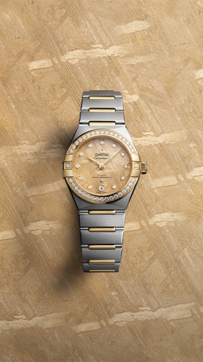 The Constellation Meteorite © Omega