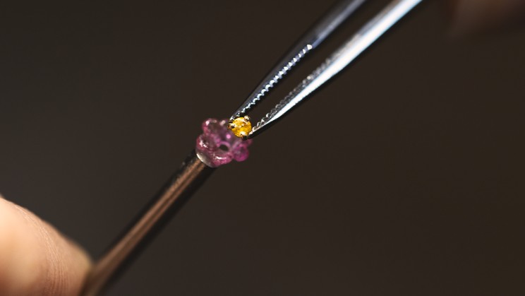 Lady Arpels Jour Enchanté watch know-how © Van Cleef & Arpels 
