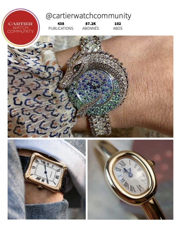 @cartierwatchcommunity © @timvaux, @perpertual.girl, @dens.watchvault 