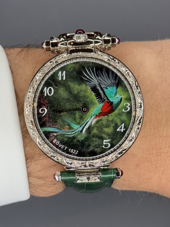 Quetzal © Bovet 1822