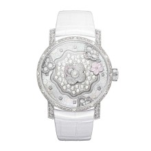 Hortensia Complication creative
