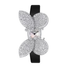 Princess Butterfly