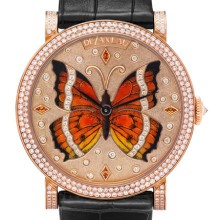 Amazone Miniature "Butterfly"